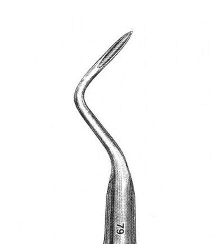 Dental Root Tip Elevator # 79 Surgical Veterinary Instruments Stainless Steel Tooth Extraction in Saudi Arabia