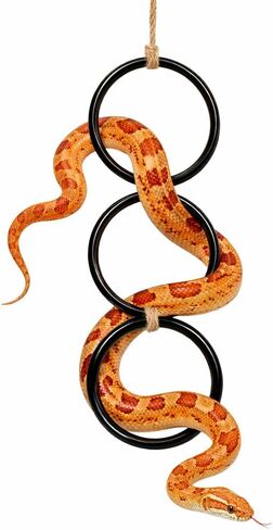 3pcs حلقات تسلق الأفعى للحيثون الكرة - ألعاب التخصيب لثعبان الذرة - reptiletank قفص ديكور الملحقات الموائل | terrarium ، التنين الملتحي ، الحرباء ، الإغوانا ، جيكو ، السحلية ، الببغاء in Kuwait