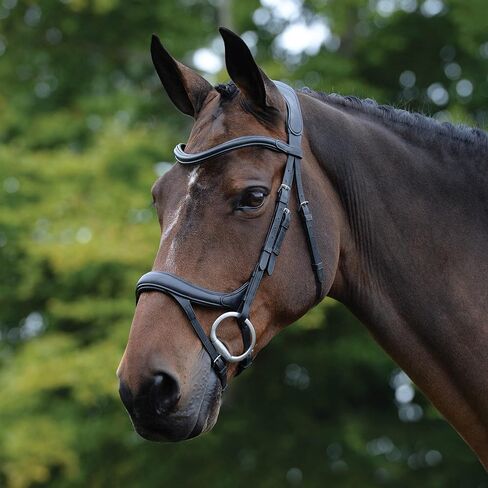 لجام تشريحي من ComFiTec Vogue، أسود، كامل in Kuwait