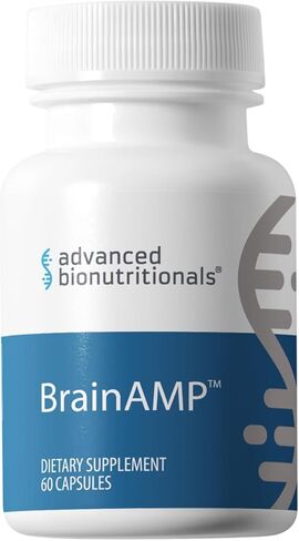 BrainAMP™ Nootropic Energy for Focus, Memory & Clarity | Clean Alertness with Paraxanthine (No Jitters) | Supports Productivity with Alpha-GPC, Tyrosine, CognatIQ, Lutein & Salidroside | 60 Caps in Kuwait