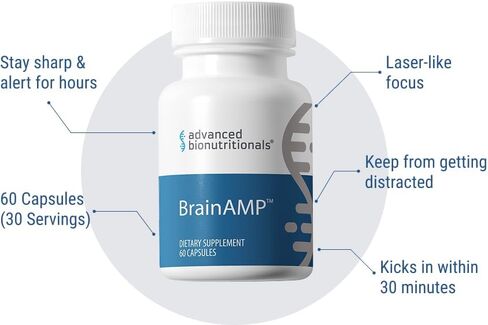 BrainAMP™ Nootropic Energy for Focus, Memory & Clarity | Clean Alertness with Paraxanthine (No Jitters) | Supports Productivity with Alpha-GPC, Tyrosine, CognatIQ, Lutein & Salidroside | 60 Caps in Kuwait