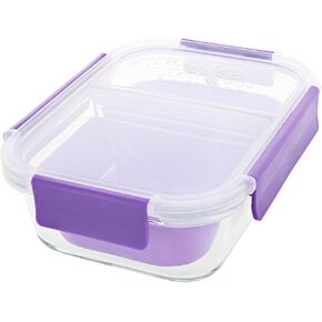 Two Compartment Borosilicate Glass Container Cleaning Tool with Sealable Lid (Arctic Blue) in Saudi Arabia