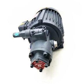 Hydraulic Gear Pump Connect with Motor Groups AMTP-216HA in Kuwait