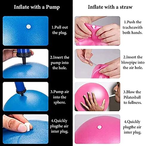 6 Inch Exercise Pilates Mini Yoga Balls Barre for Home Stability Squishy Training Physical Therapy Improves Balance Core Strength Comes with Pump(Black, 6 Inch) in Saudi Arabia