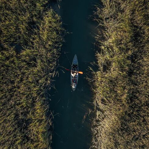 Wilderness Systems Tarpon 140 - يجلس على قمة قوارب الكاياك لصيد الأسماك - قوارب الكاياك الفاخرة - مقعد ممتاز قابل للتعديل - 14 قدم - ميسا كامو in Saudi Arabia