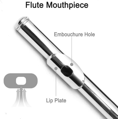 Closed Hole 17 Keys C Flute for Beginners & Students & Adults– Nickel Siver Flute with Hard Case, Cleaning Kit, Tuning Rod – Easy to Play, Durable & Lightweight in Kuwait