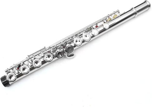 Closed Hole 17 Keys C Flute for Beginners & Students & Adults– Nickel Siver Flute with Hard Case, Cleaning Kit, Tuning Rod – Easy to Play, Durable & Lightweight in Kuwait