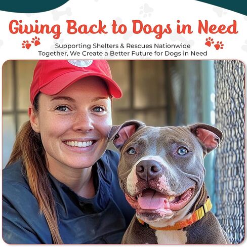 سترة الكلب الأسنان والعسل/سترة بيتبول كبيرة للكلاب/سترة للكلاب/أخضر داكن وبرتقالي (XX-Large) in Kuwait