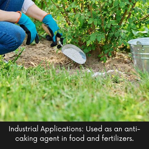 100% Calcium Silicate Powder Food Grade 227 g / 0.5 lbs in Kuwait