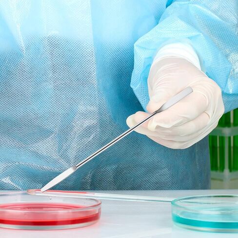 3 قطع ملعقة مختبر من الفولاذ المقاوم للصدأ، ملعقة معدنية صغيرة، ملعقة مزدوجة الأطراف، مجرفة مدببة بنهاية سهم مسطحة، 5.9 بوصة (فضي) in Saudi Arabia