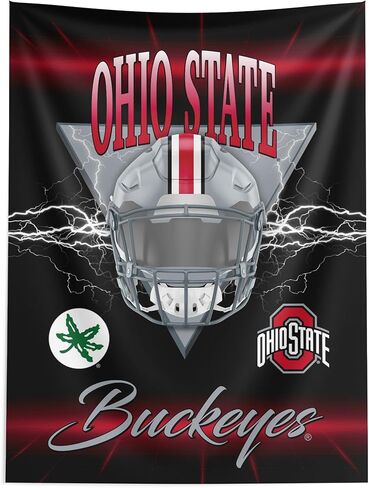 Northwest NCAA Ohio State Buckeyes Electrode Wall Hanging 40x57 inches in Saudi Arabia