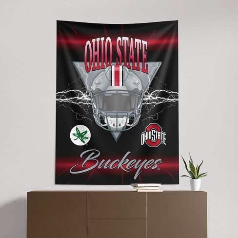 Northwest NCAA Ohio State Buckeyes Electrode Wall Hanging 40x57 inches in Saudi Arabia