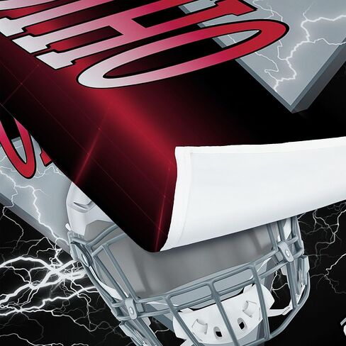 Northwest NCAA Ohio State Buckeyes Electrode Wall Hanging 40x57 inches in Saudi Arabia