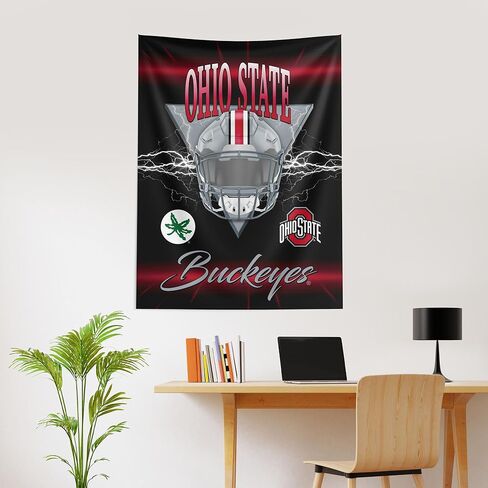 Northwest NCAA Ohio State Buckeyes Electrode Wall Hanging 40x57 inches in Saudi Arabia