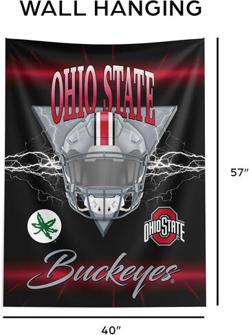 Northwest NCAA Ohio State Buckeyes Electrode Wall Hanging 40x57 inches in Saudi Arabia