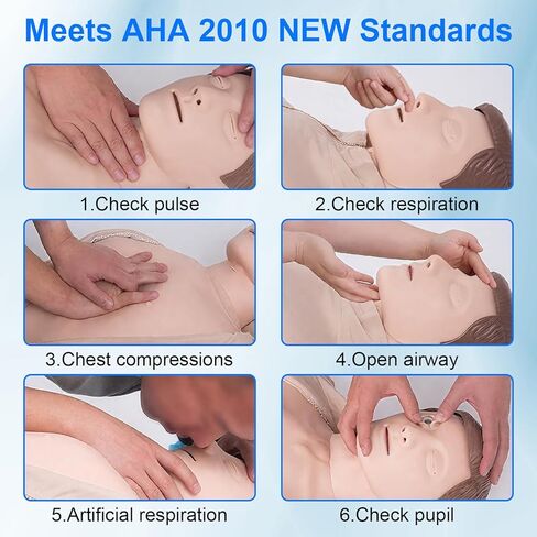CPR Dummy Manikins Training Kit, Professional CPR Mannequin Test Dummies Adult with Medium Skin MCR Med-ical Accessories, CPR Training Dummy Set for Classroom or Research Centers in Kuwait