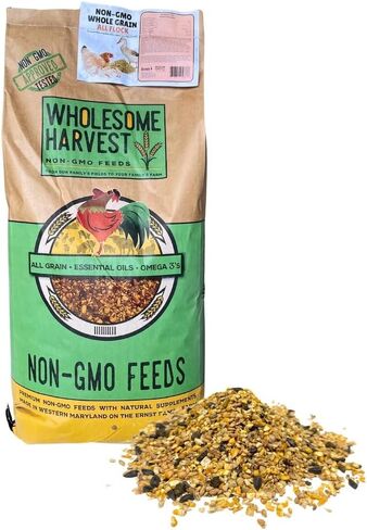 All Flock Feed, High Nutrition Layer for Flocks, Non-GMO Duck, Turkey, Geese and Chicken, Whole Grain 40 lbs Pack in Kuwait