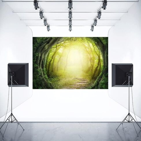 Fairy Forest Backdrop Polyester Enchanted Forest Backdrop Sunshine Butterfly Flower Photography Background Fantasy Magical Wonderland Baby Boy Girl Party Supplies Decor Banner 5x3ft in Kuwait