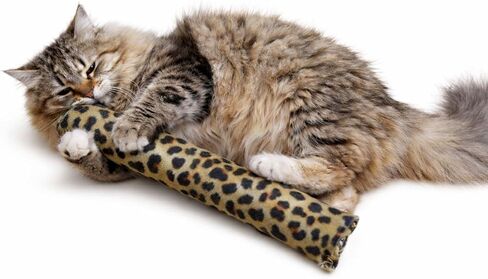 15" Catnip Cat Kicker Toys/Kitty Kick Sticks/Cat-Nip Kick Sticks (Green) (Kickers Filled with 1 oz Premium Canadian Catnip) in Kuwait