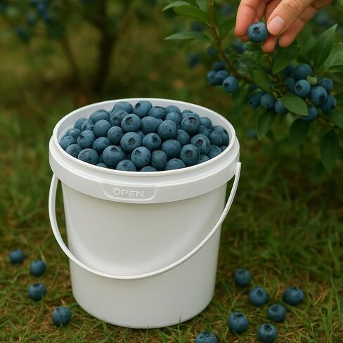 10 Pcs Plastic Bucket with Lid, 1.5 Quart Thickened Storage Bucket, Paint Buckets Pails Paint Cans for Storing Paint, Pigments, Food, Feed, Etc in Saudi Arabia