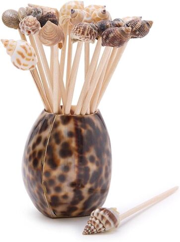 Two's Company Tiger Cowrie Shell with 20 Assorted Sea Shell Picks in Acetate Gift Box in Saudi Arabia