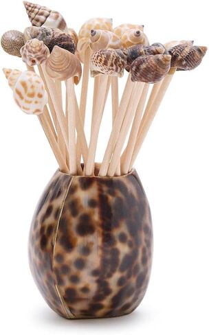 Two's Company Tiger Cowrie Shell with 20 Assorted Sea Shell Picks in Acetate Gift Box in Saudi Arabia