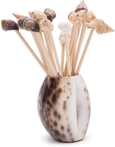 Two's Company Tiger Cowrie Shell with 20 Assorted Sea Shell Picks in Acetate Gift Box in Saudi Arabia