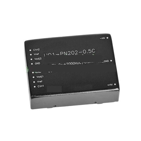 HO1-PN202-0.5C Power Module DC-DC Converter in Saudi Arabia