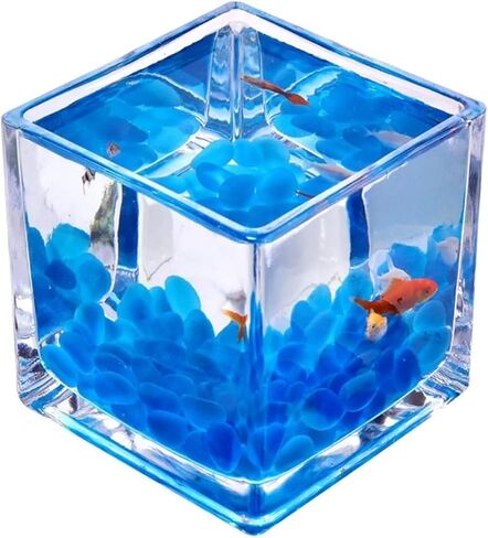 Small Fish Tank Tank for Aquariums Glass Square Fish Tank Thickened Table Top Transparent Fighting Fish Tank Small Ecological Aquarium Tank Ornaments Fish Tank Kit(Small) in Saudi Arabia