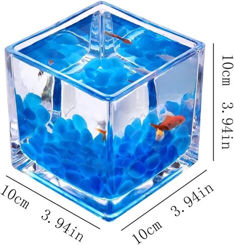Small Fish Tank Tank for Aquariums Glass Square Fish Tank Thickened Table Top Transparent Fighting Fish Tank Small Ecological Aquarium Tank Ornaments Fish Tank Kit(Small) in Saudi Arabia