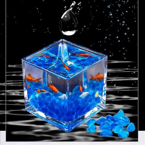 Small Fish Tank Tank for Aquariums Glass Square Fish Tank Thickened Table Top Transparent Fighting Fish Tank Small Ecological Aquarium Tank Ornaments Fish Tank Kit(Small) in Saudi Arabia