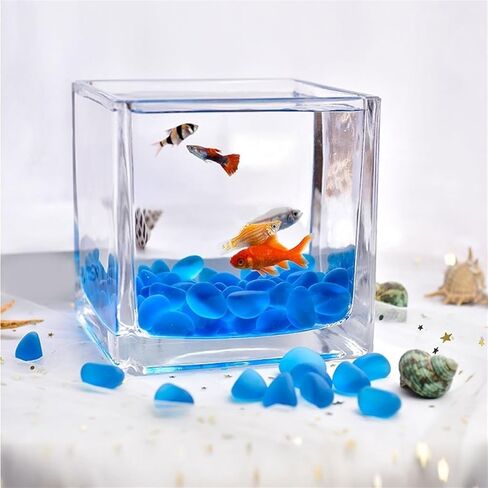 Small Fish Tank Tank for Aquariums Glass Square Fish Tank Thickened Table Top Transparent Fighting Fish Tank Small Ecological Aquarium Tank Ornaments Fish Tank Kit(Small) in Saudi Arabia