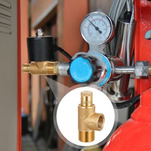 1/2" x 3/4" Poppet Adjustable Relief Valve Pressure Relief Valve with 100-300 Psi for Water Systems in Saudi Arabia