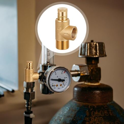 1/2" x 3/4" Poppet Adjustable Relief Valve Pressure Relief Valve with 100-300 Psi for Water Systems in Saudi Arabia