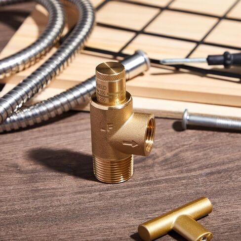 1/2" x 3/4" Poppet Adjustable Relief Valve Pressure Relief Valve with 100-300 Psi for Water Systems in Saudi Arabia
