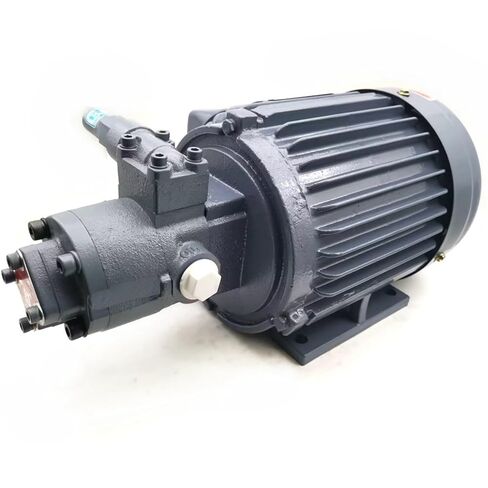 Hydraulic Gear Pump Connect with Motor Groups AMTP-216HA in Kuwait