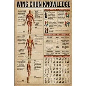 Wither Sports Fitness Tin Sign Wing Chun Knowledge Retro Metal Poster Home Bar Coffee Shop Wall Decoration Poster Plaque 12x18 Inches Knowledge4