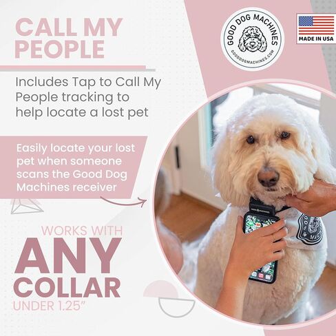 No Shock Collar for Dogs - Made in USA No Pain Dog Training Collar with Remote for Vibration and Sound - Waterproof Training Collar with Passive Pet Tracking in Saudi Arabia