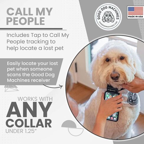 No Shock Collar for Dogs - Made in USA No Pain Dog Training Collar with Remote for Vibration and Sound - Waterproof Training Collar with Passive Pet Tracking in Saudi Arabia