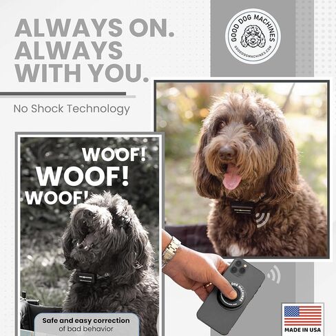 No Shock Collar for Dogs - Made in USA No Pain Dog Training Collar with Remote for Vibration and Sound - Waterproof Training Collar with Passive Pet Tracking in Saudi Arabia