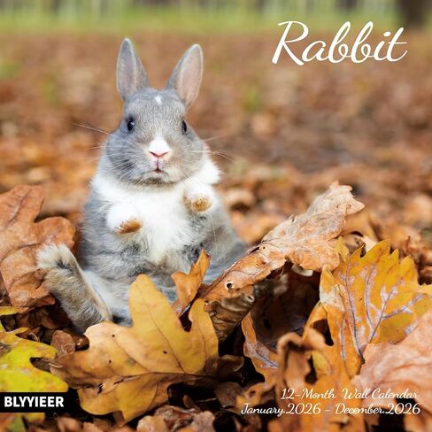 2026 تقويم الحائط ، التقويم 2025-2026 ، تقويم الحائط الشهري للأرنب ، 12 "× 24" مفتوحة ، تقويم مخطط العائلة ، المنظم والمكاتب ، معلقة. in Kuwait