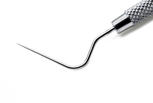 10× Dental Premium Spreader 2s Plugger Filling Scaling Endodontics Stainless Steel Instruments in Saudi Arabia