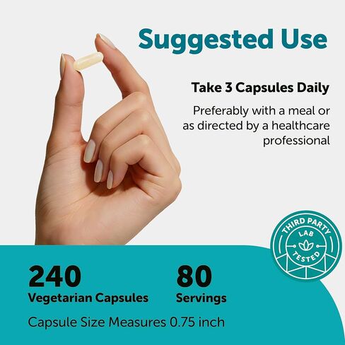 Micro Ingredients Hyaluronic Acid Complex, 240 Vegetarian Capsules | with Collagen, MSM, Vitamin C, Biotin, Turmeric & Boswellia | Non-GMO, Filler-Free, cGMP Manufactured & Lab Tested in Saudi Arabia