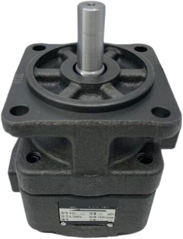 مضخة ريشة YB1-2.5 YB1-4/6/10/12.5/16/20/25/31.5/40/50/63(YB1-10) in Kuwait