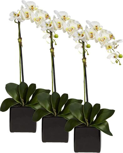Nearly Natural 20in. Orchid Artificial Arrangement in Black Planter, White in Kuwait
