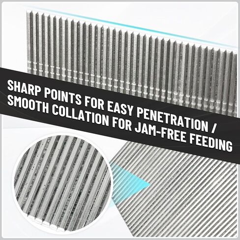 16 Gauge 2 Inch (50mm) Finish Nails, 304 Stainless Steel, Maximum Holding Power & Durability for Professional Contractors (8 Boxes of 2000 Count, 16000 Total) in Saudi Arabia