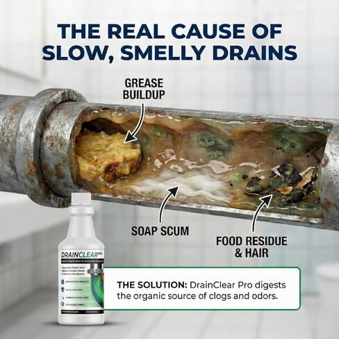 منظف ​​الصرف الإنزيمي برو من درين كلير 32oz - تركيبة إنزيمية تهضم الشحوم والنفايات والروائح - آمن للأنابيب وأنظمة الصرف الصحي - معالجة الصرف القابلة للتحلل للاستخدام المنزلي والتجاري in Kuwait