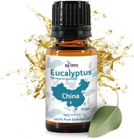 الزيوت العطرية من الأوكالبتوس من رائحة يونغ الحيوية في الصين - الزيوت العطرية للأوكالبتوس للجلد وللنشر - السائبة السائبة (22 رطل) (22 رطل) in Kuwait