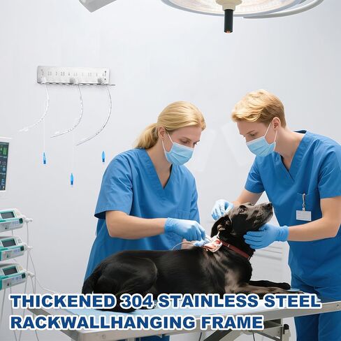 2Pack Endotracheal Tube Holder 304 Stainless Steel Rack Wall Hanging Frame Endotracheal Tube Holders Intubation Hanger for Veterinary Equipment Supplies（2.0-12） in Kuwait