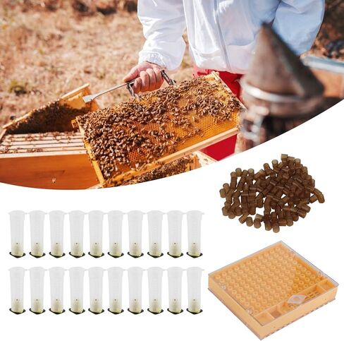 Queen Bee Rearing Plastic Cage Kit for Beekeepers Efficient Cell Cup System for Bee Breeding Suitable for Small Beekeeping Farms 15.5oz in Saudi Arabia